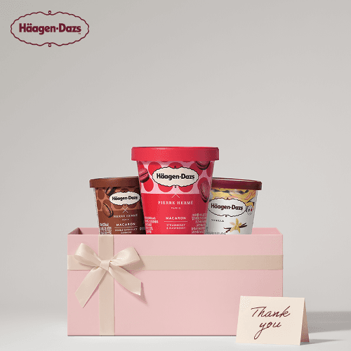 하겐다즈 파인트 (미니컵&바) 세트