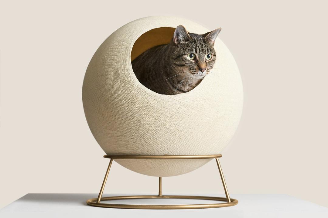 Stellar Cat Bed