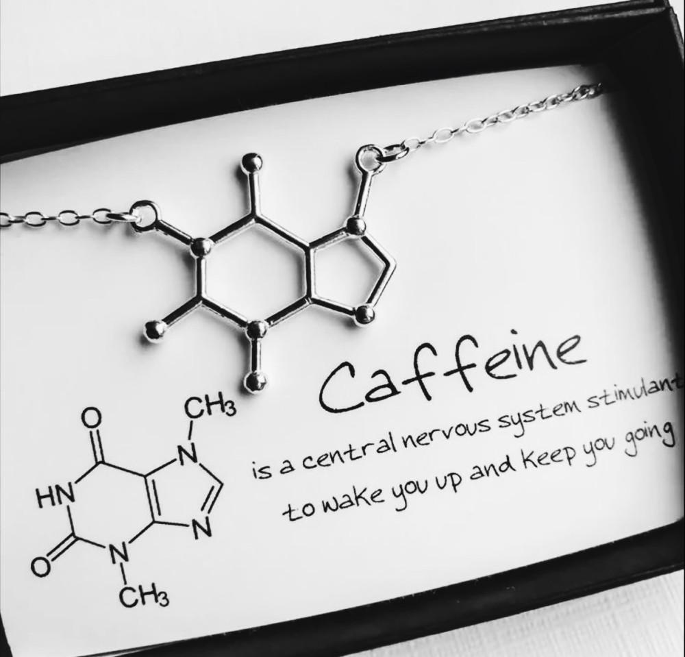 카페인 은 목걸이 이과 실버 악세사리