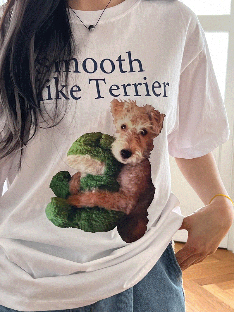 테리어 t (4 color)