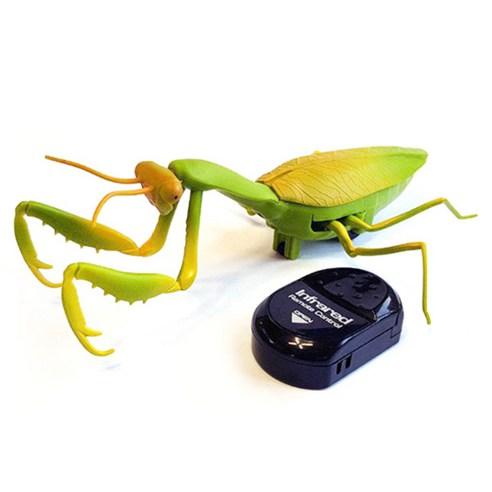 반디 자이언트 사마귀 RC, 혼합 색상, 1개 - RC완구 | 쿠팡
