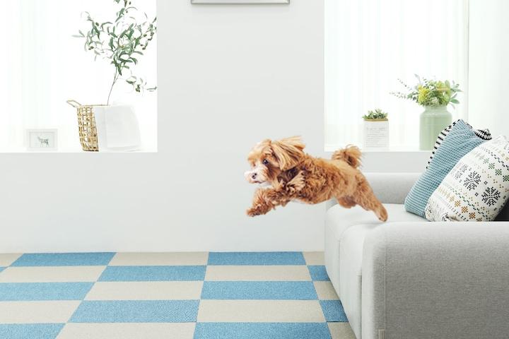 국산 효성스완 펫 타일카페트 8Color/ 16P (1장 50x50cm) DIY 셀프바닥