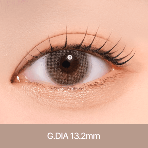 에일린 [ 그레이 ] 원데이 10EA