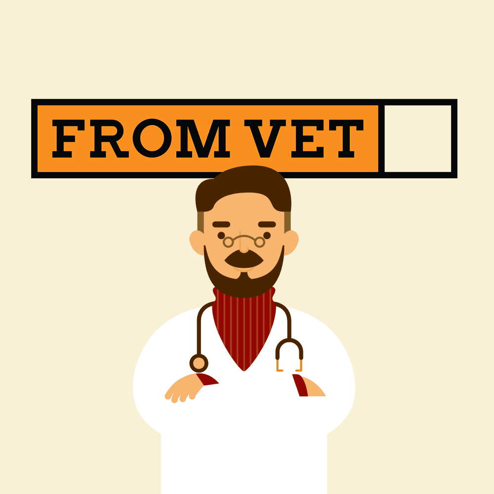 프롬벳 체크패턴 방석 커버