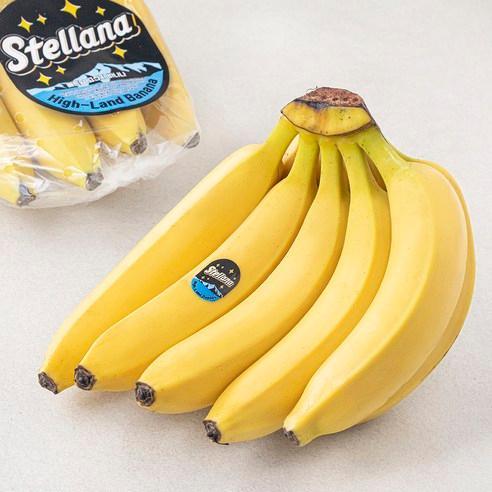 스텔라나 베트남산 고산지 바나나, 1.2kg, 1개 - 열대과일 | 쿠팡