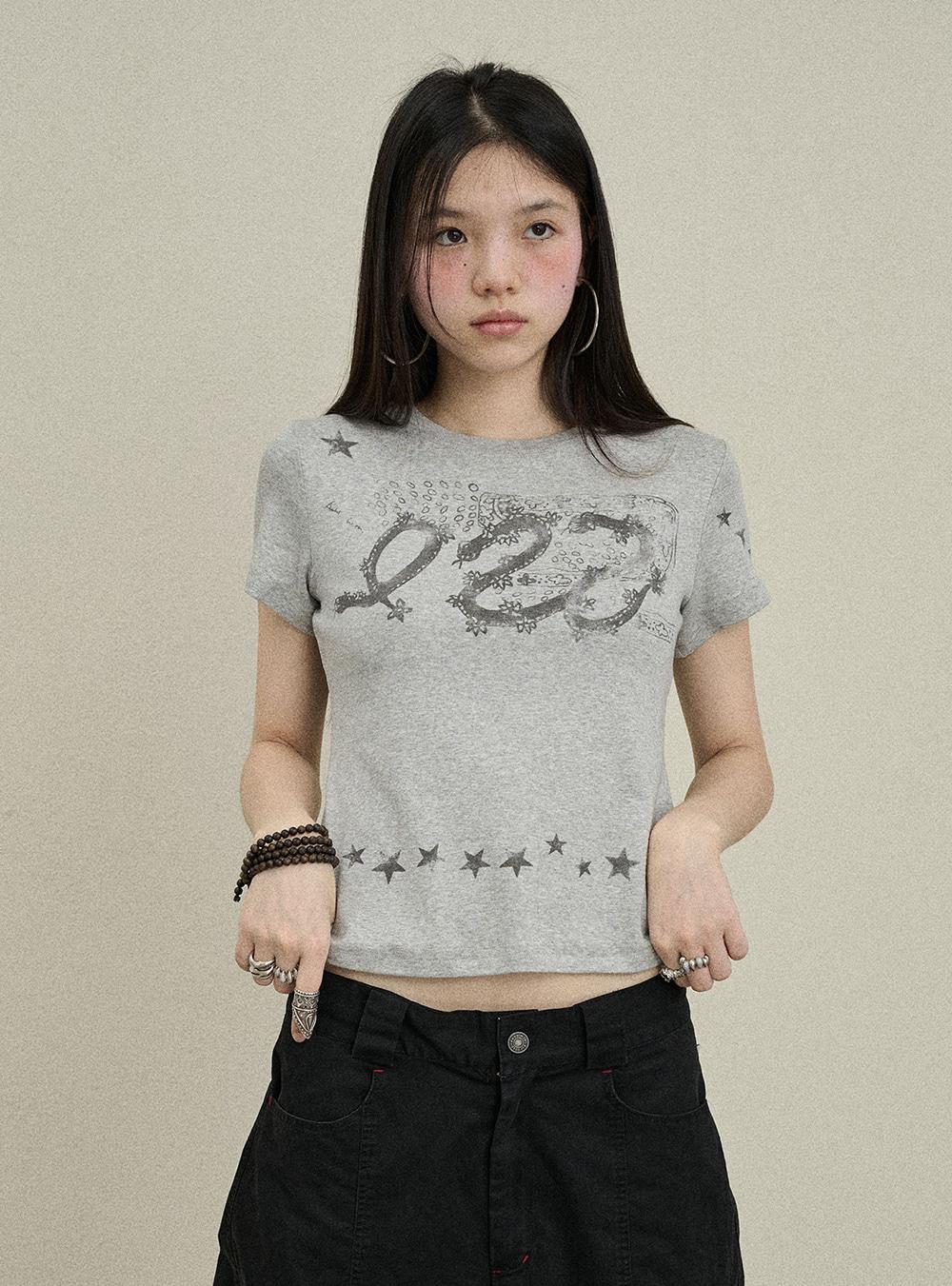 Casual Graphic Short & Long Sleeve T-Shirt (2color)