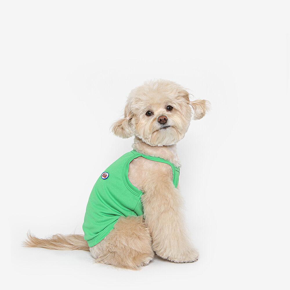 투스투스 강아지 쿨나시 (그린)