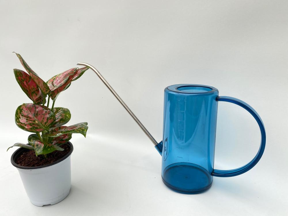 팡팡플랜트 물뿌리개 물조리개 1L