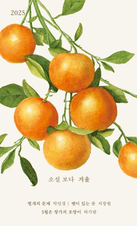 소설 보다: 겨울 2025