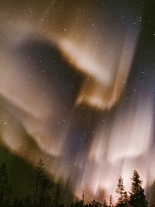 뉘 드 셀로판 (SL Type)