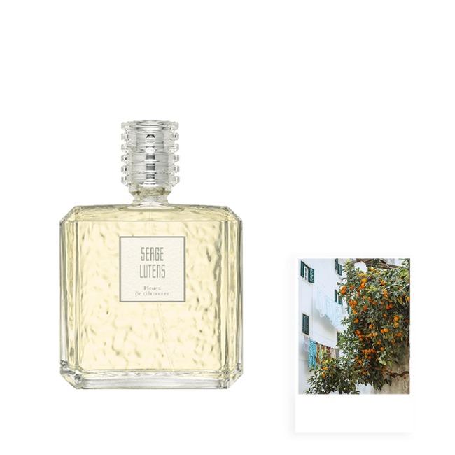 세르주루텐 플뢰르 드 시트로니에 오 드 퍼퓸 100ml