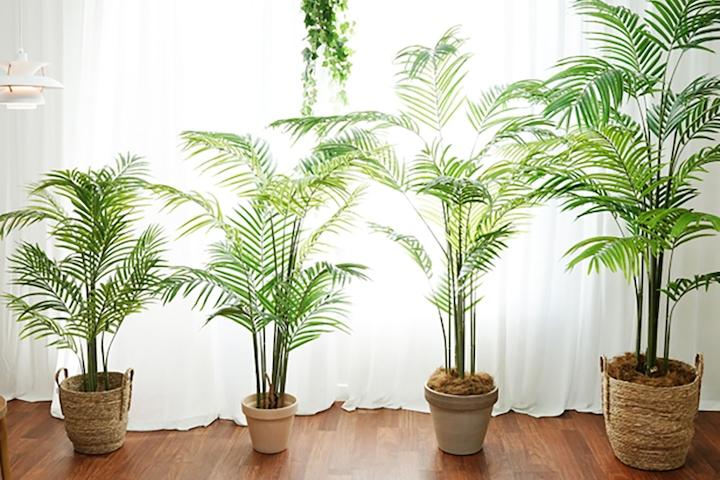 프리미엄 고급 조화 나무 - 아레카야자 4sizes