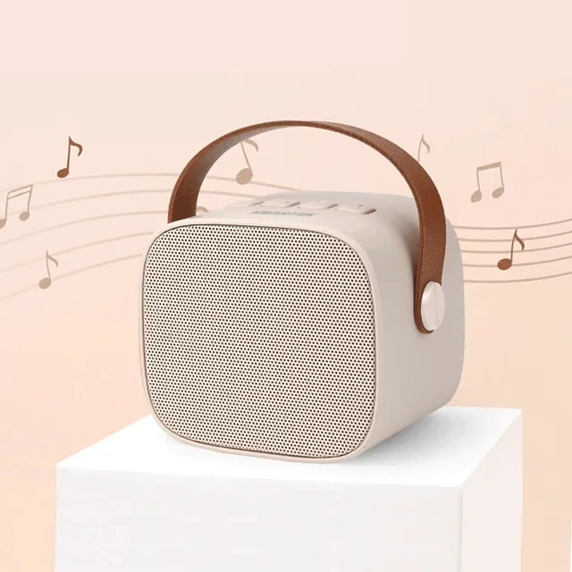 [오늘출발] 베이지 노래방 듀얼 마이크 스피커 세트