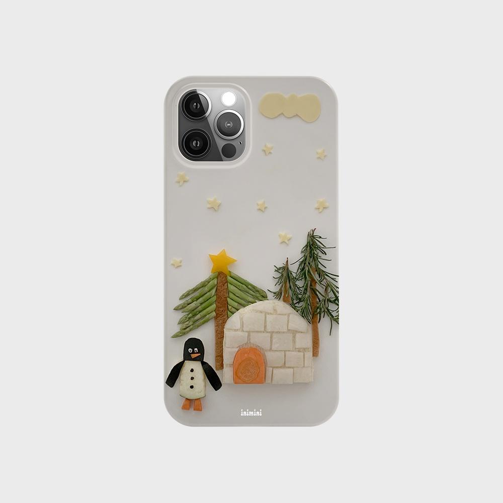 igloo case