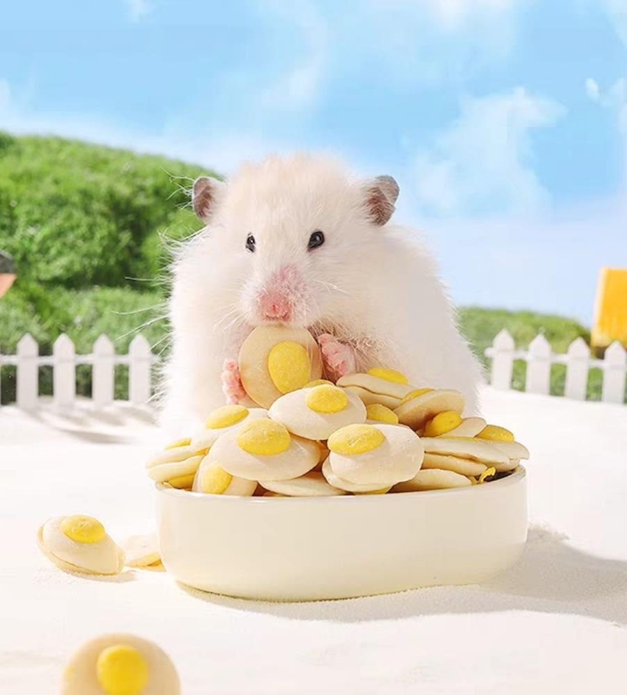 햄스터 계란후라이 이갈이 간식