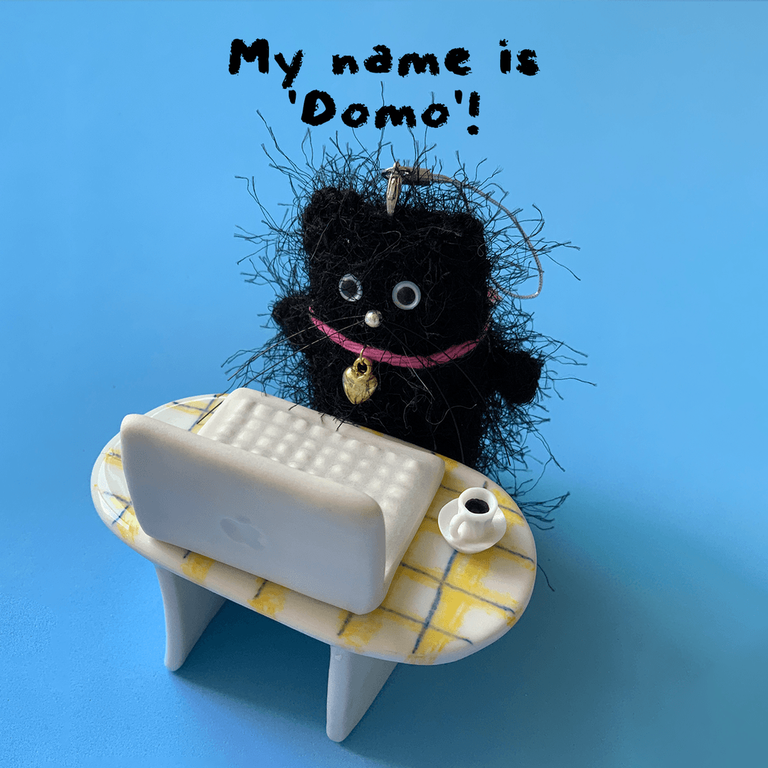 My name is Domo!(Black cat)