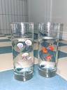 summer glass (2type)