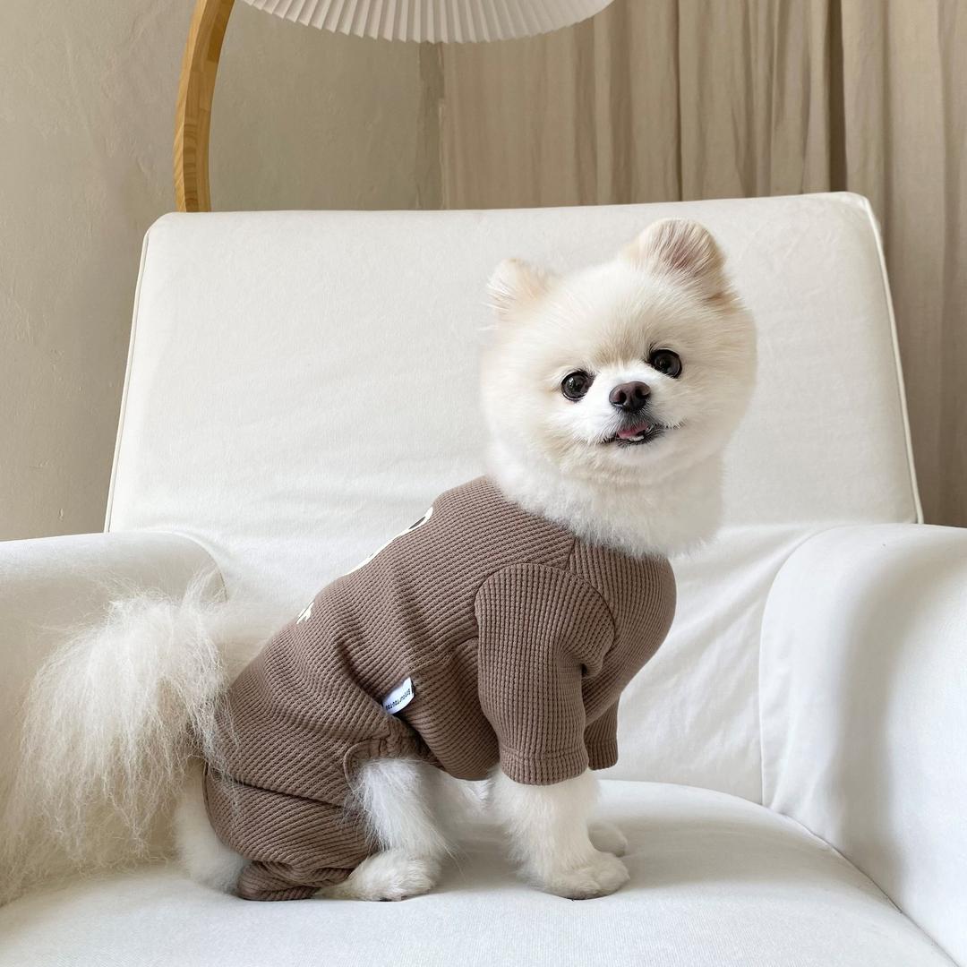 젤라또 Hi bear 올인원_브라운