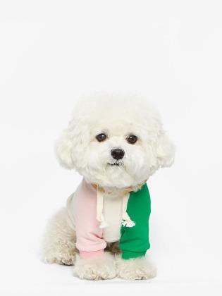 강아지 후드티 봄옷