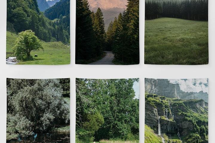 자연을 담은 포레스트 패브릭포스터 50종 가리개 (면소재/7size)