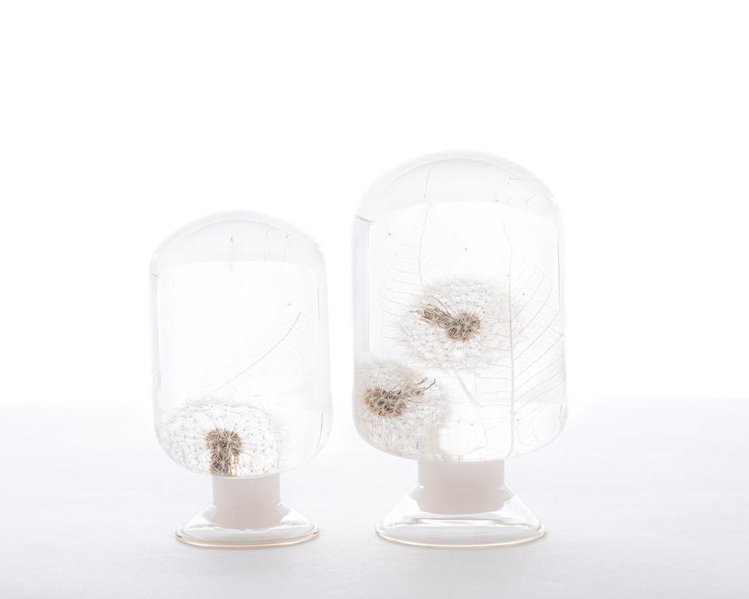 피스오브타임 - 민들레