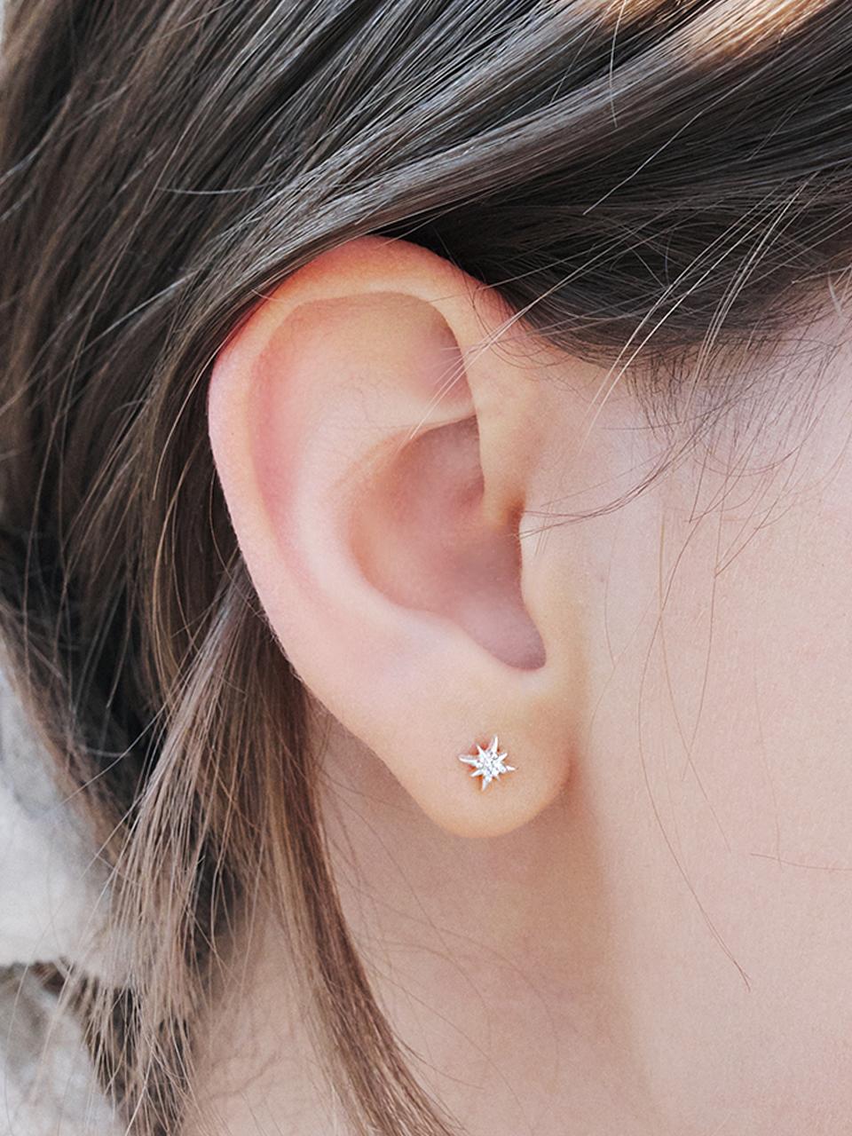 dazzle star cubic earring