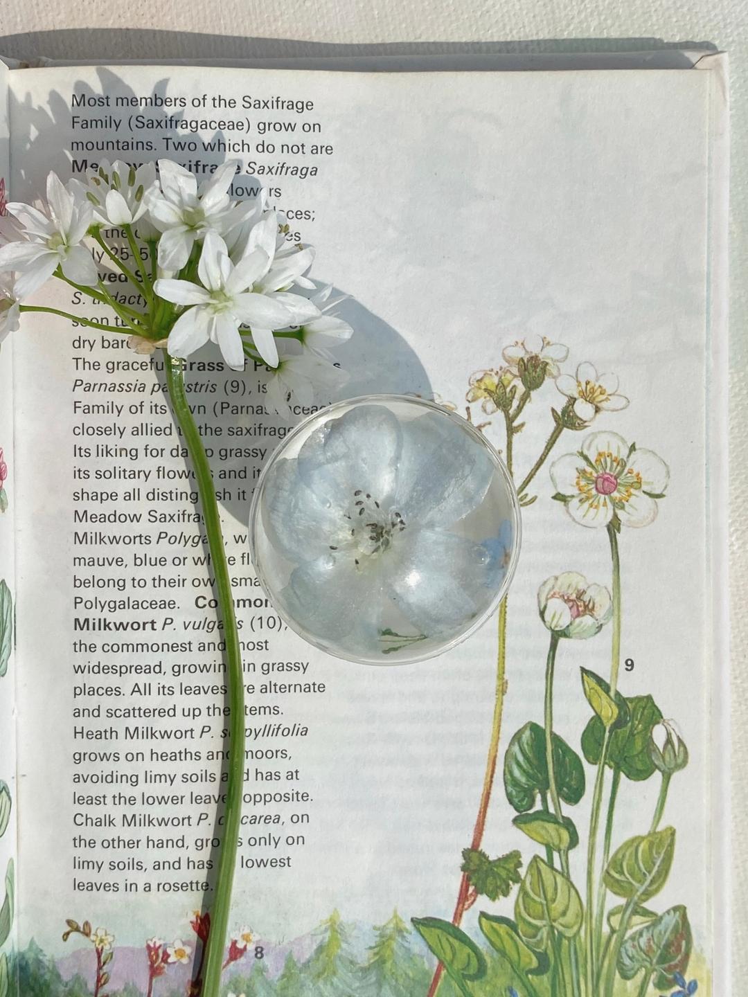 Love delphi griptok (Blue ver.)