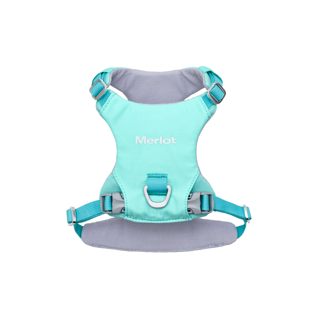Ardor™ Harness Mint