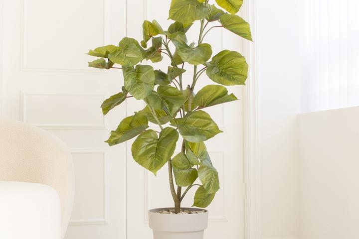 리얼퀄리티 핸드메이드 휘카스 조화화분세트 3sizes