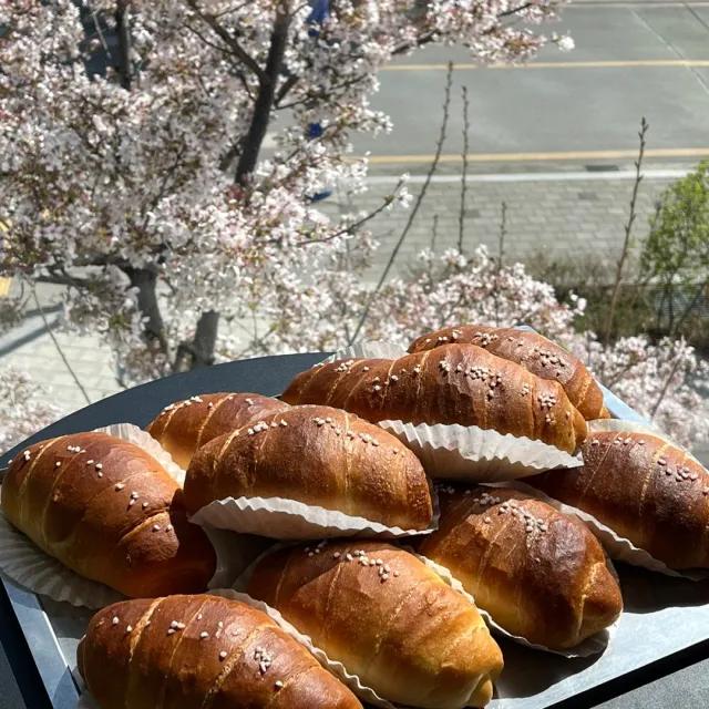 디디얌 바삭쫄깃한 소금빵