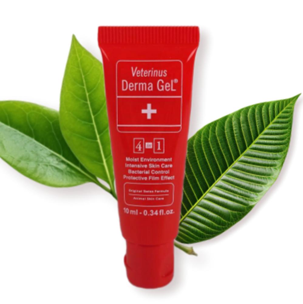 도마뱀 상처 연고 반려파충류 필수 상비약 동물 전용 더마젤 10ml