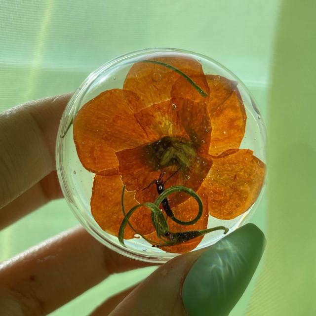 A trumpet Creeper Griptok 능소화 레진 그립톡 스마트톡 핸드메이드 핸드그립 핑거톡