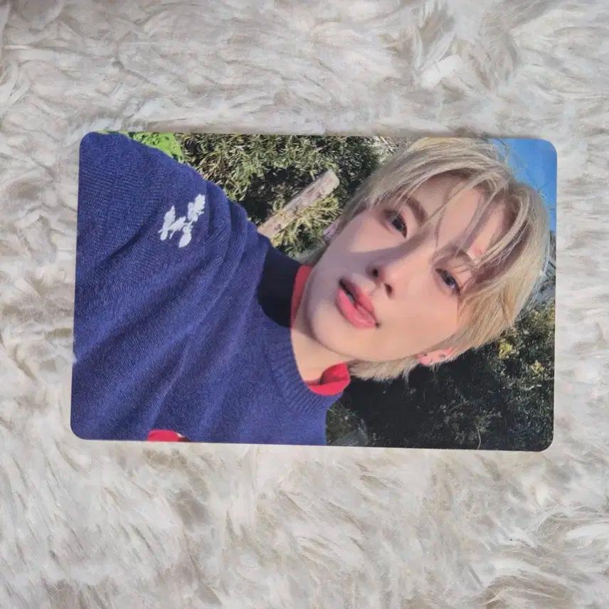 앤팀 유마 사미다레 포토카드 포카