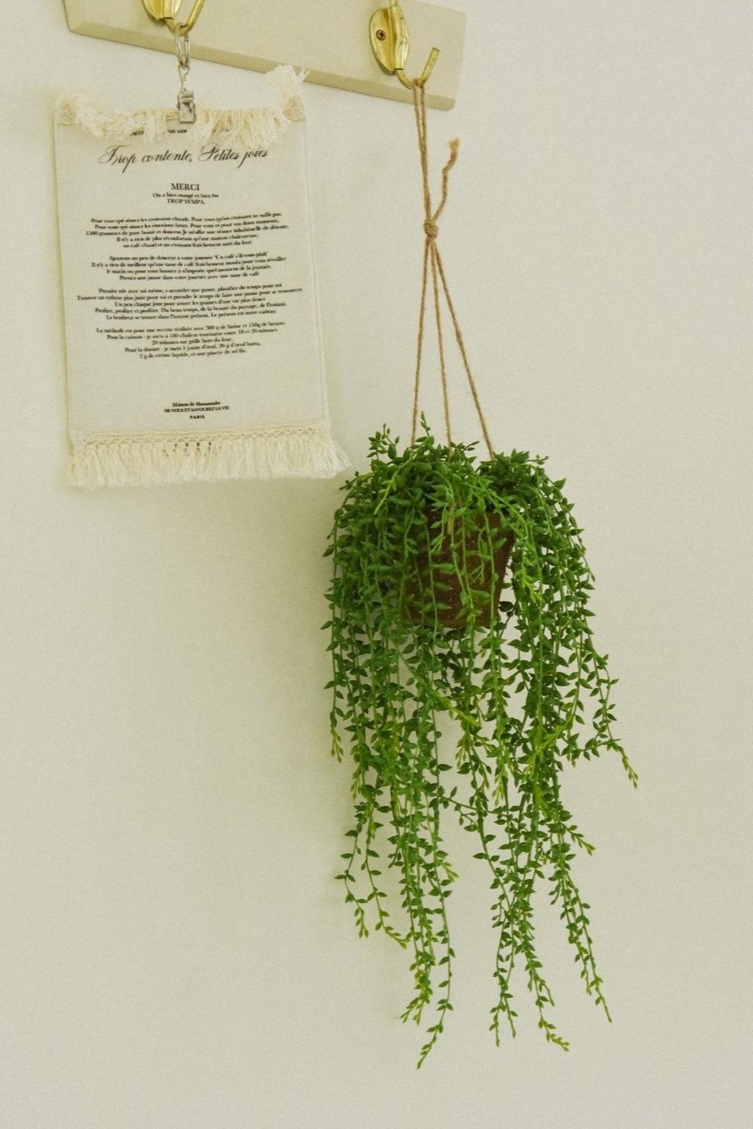 그린 넥클레스 행잉 식물 조화 화분 BOTANICA