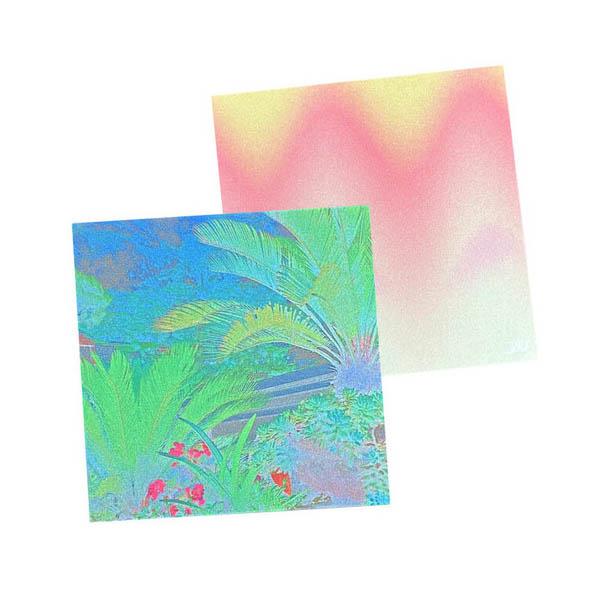 (summerdreamer) Palm Tree Summer Postcard
