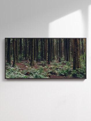 Jeju Piece 025, Kim Young Hoon (800X400,1200X600(mm))