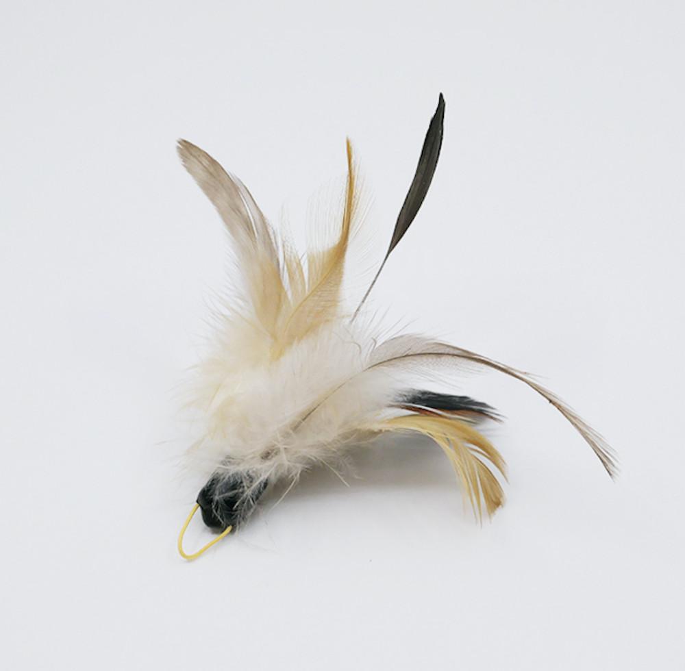 고양이를 위한 꽃다발