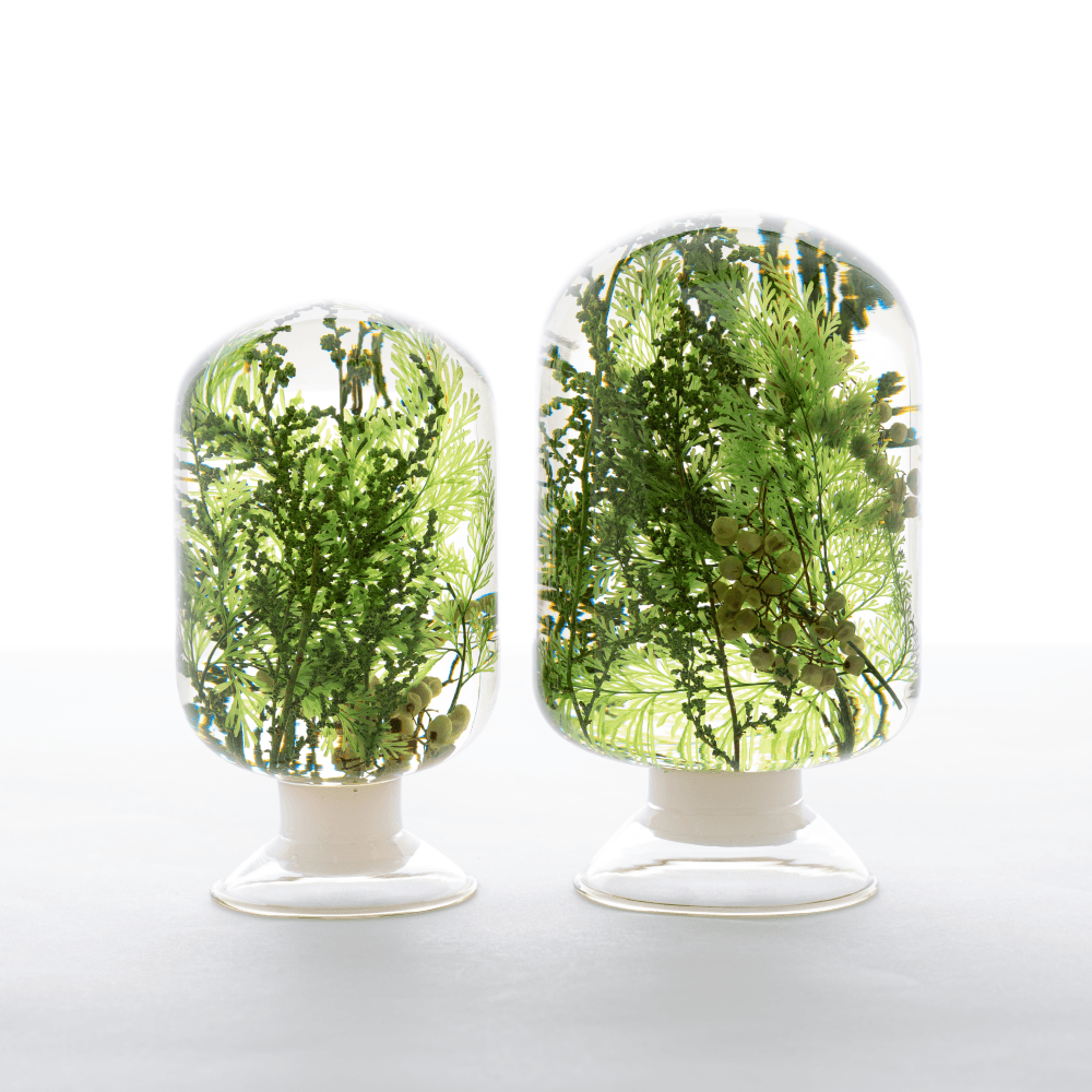 [피스오브타임] 워터플랜트