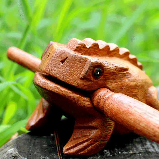 [쓸데없는 친구 선물] 힐링 개구리 소리나는 귀로 재미있는 장난감 웃긴 캠핑 쓸모없는 새해 연말 마니또 선물 아이템 [CISMAS]