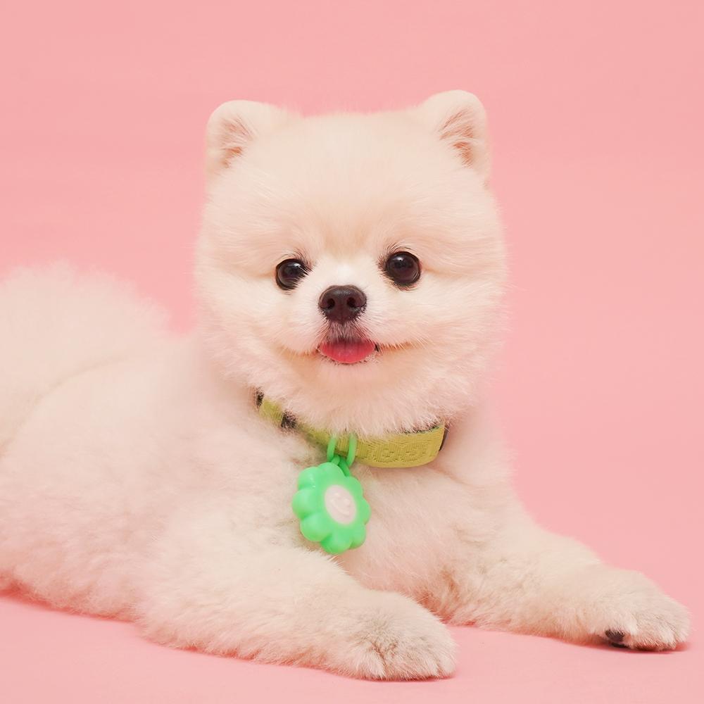 산책 안전 라이트 - 클로버