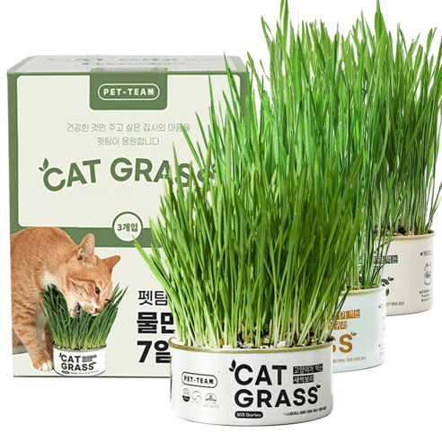 펫팀 캣그라스 3개입, 혼합맛(새싹보리/새..., 35g, 1세트 - 캣닢/캣글라스 | 쿠팡