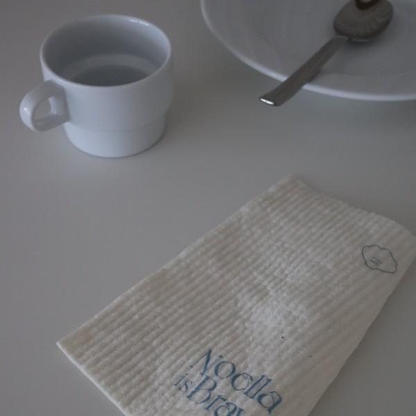 CELLULOSE DISHCLOTH