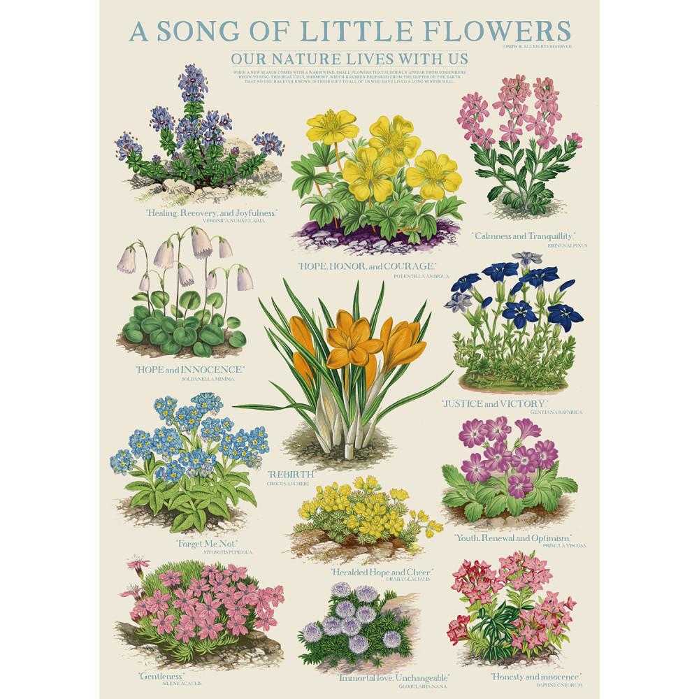 작은 꽃들의 노래 포스터 song of little flower