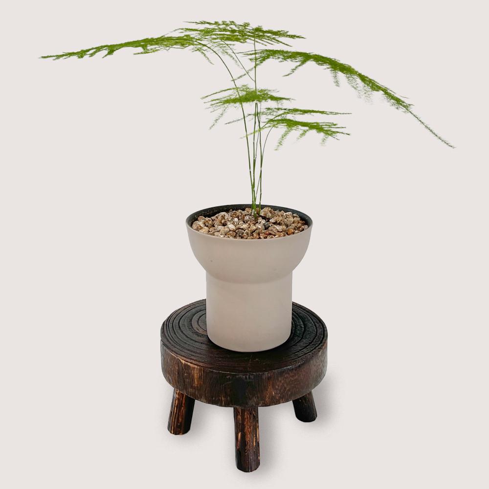 미니 화분받침대 의자 원목 스툴 B