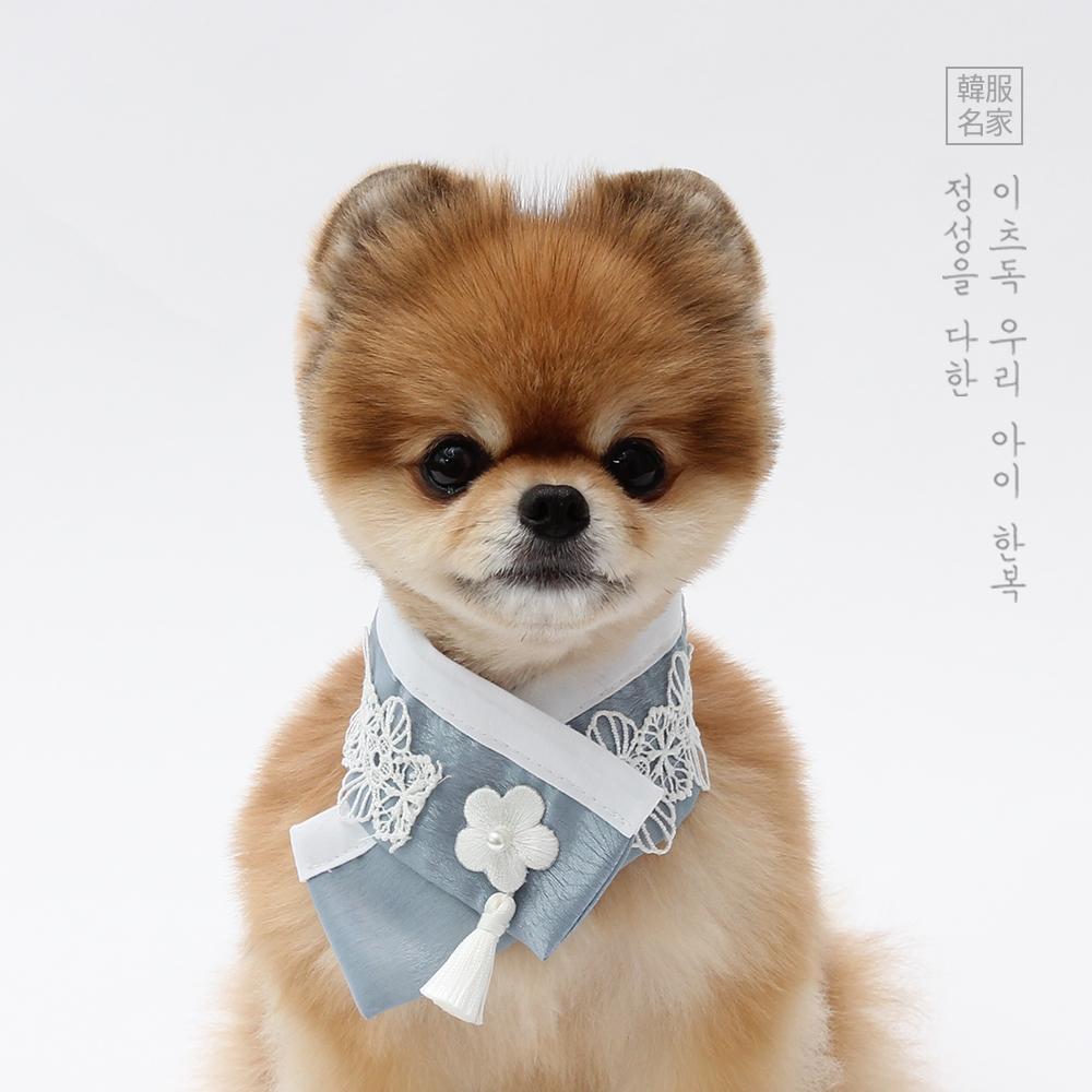 이츠독 수선화 한복케이프 (물색)