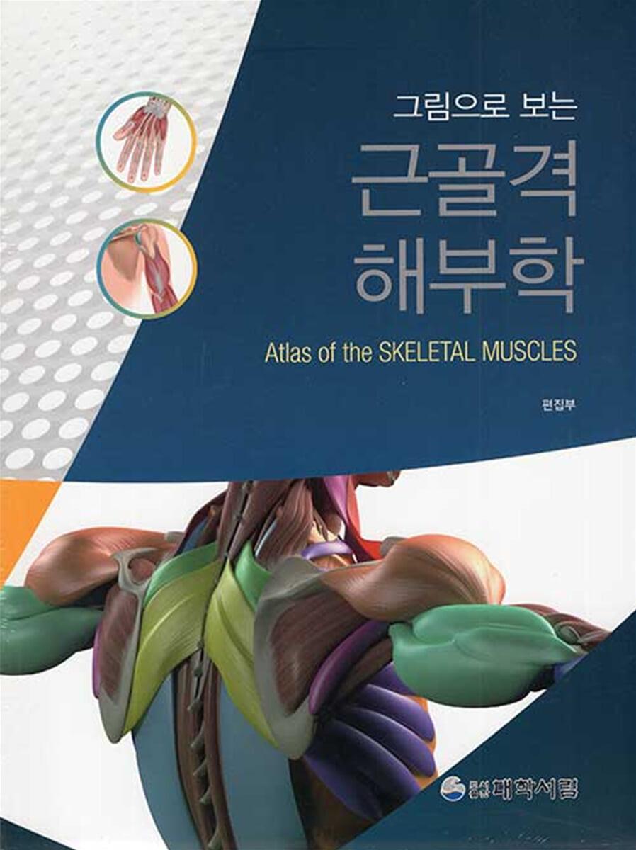근골격해부학  - 예스24