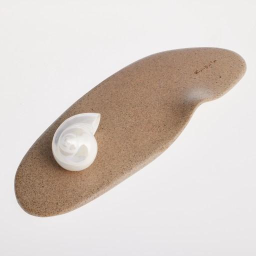 아소토 바다한조각 샌디트레이/무지개빛 비단바다달팽이