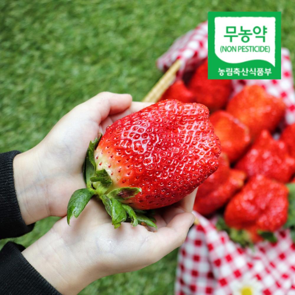 킹스베리 고당도 논산 대왕 왕딸기 못난이 킹딸기 생딸기 설향 선물용