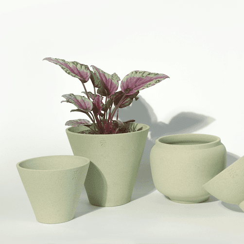 브이팟 그린티 S (D11)