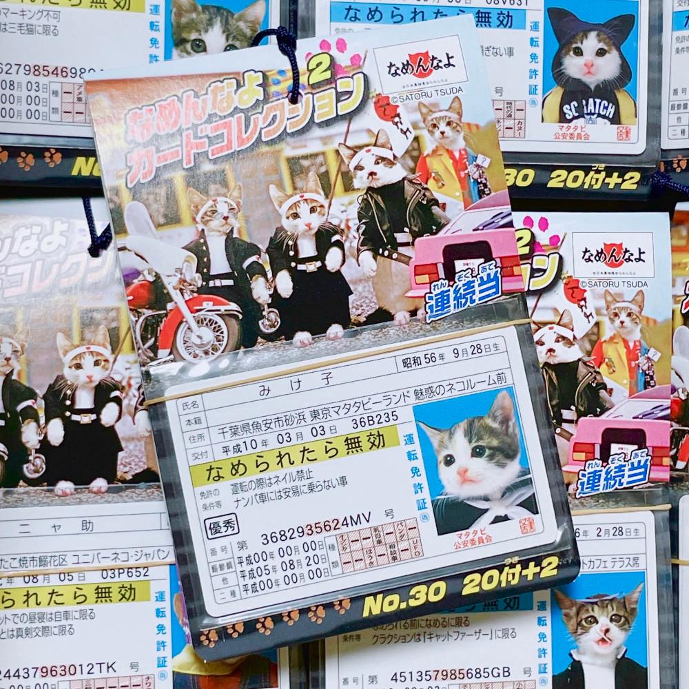 (재입고)나메네코(폭주족 고양이) 카드팩 22장 세트